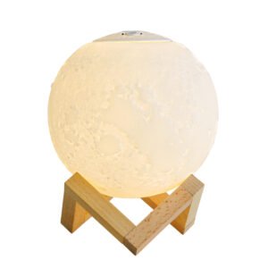 Leach 3D moon light design diffuser